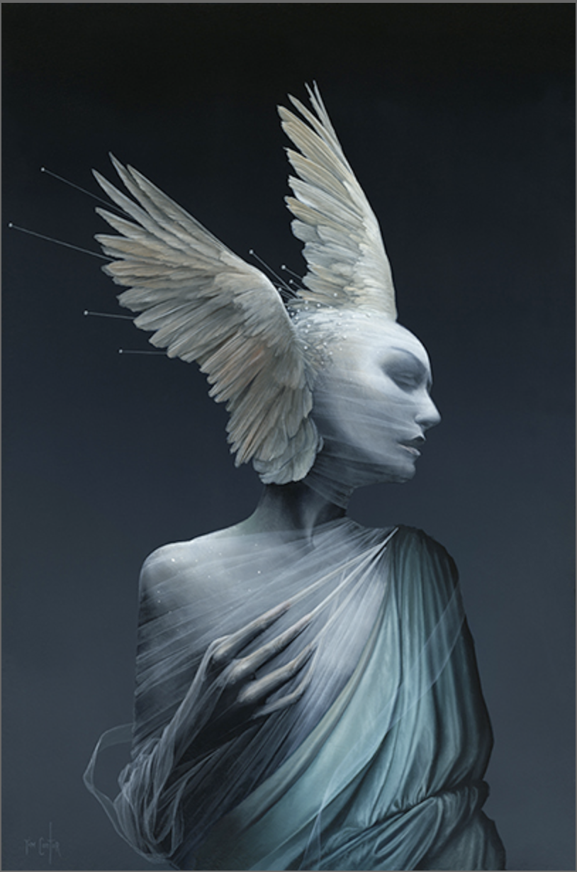 Tim Cantor — Animazing Gallery